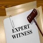 Expert-Witness-Reports